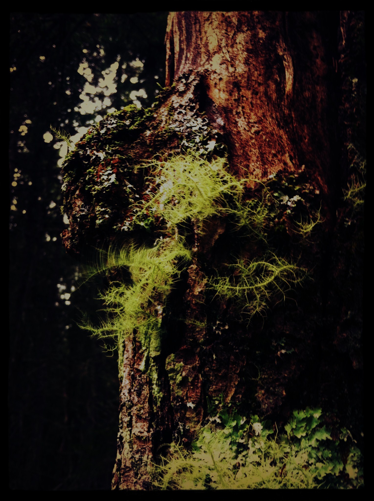 schoolhouse ledge 10