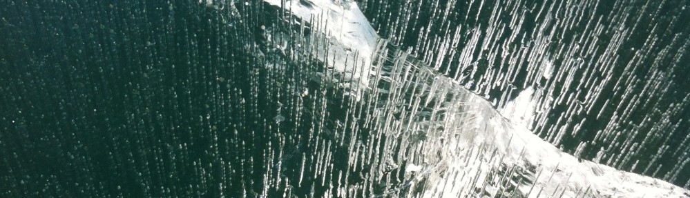 Paciencia, Paciencia