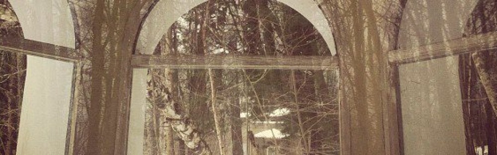 Paciencia, Paciencia