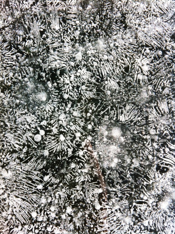 Jordan Pond January 18