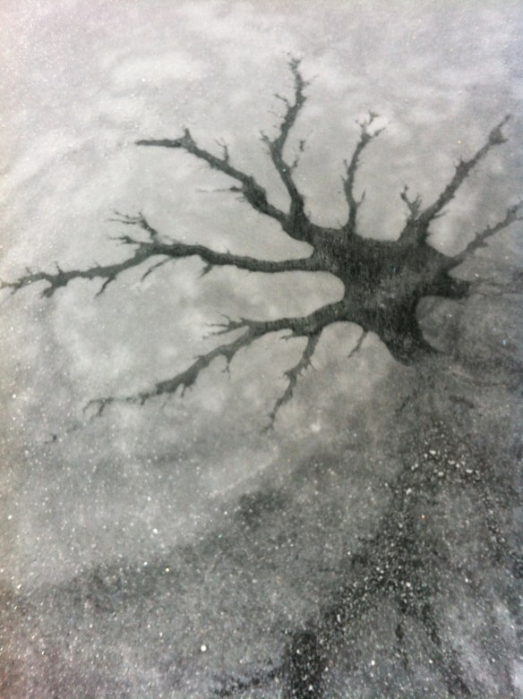 Jordan Pond January 35