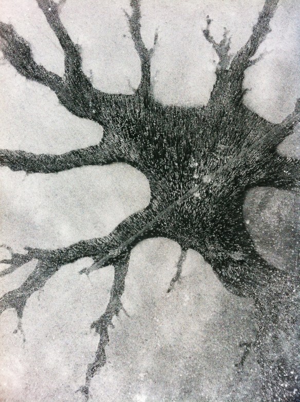 Jordan Pond January 36