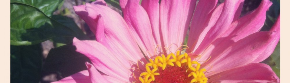 Paciencia, Paciencia