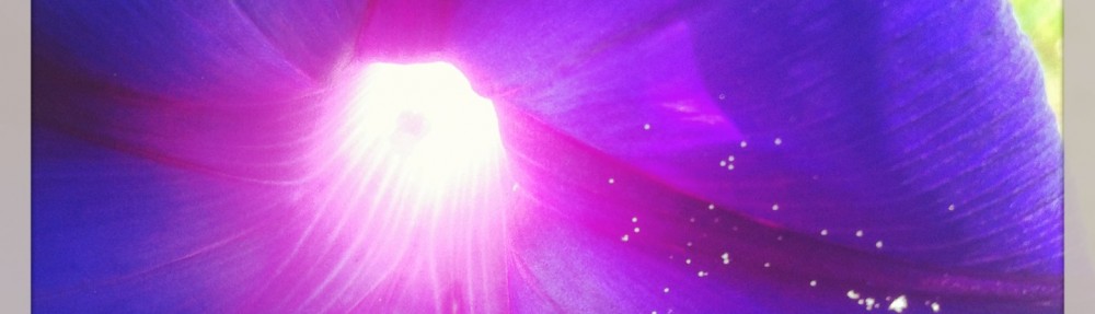 Paciencia, Paciencia