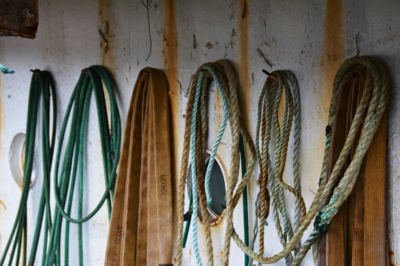 dan photos september 2013 242