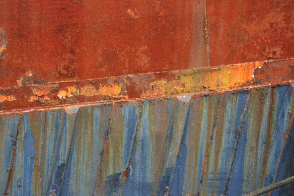 dan photos september 2013 248