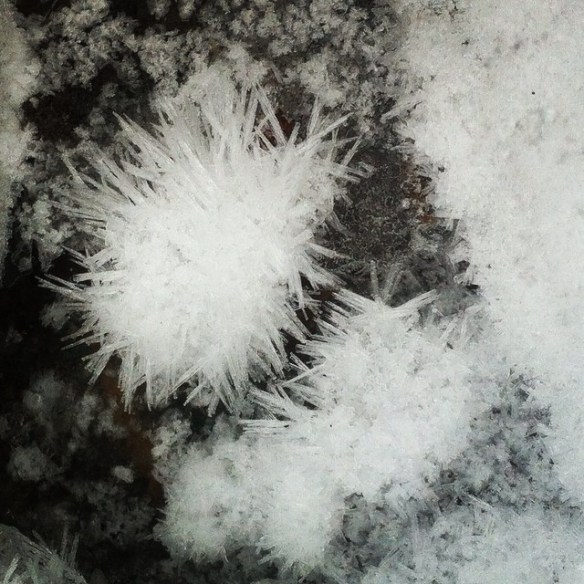 10670212_10205170650725007_3935724932328490496_n