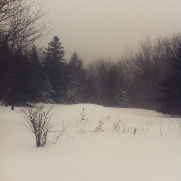 10942609_10205767920616381_7398038180037899619_n