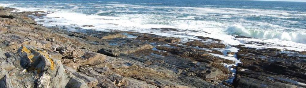 Paciencia, Paciencia