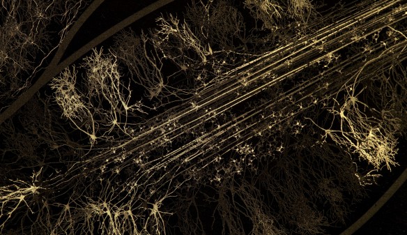 general_selfreflected_closeupneurons