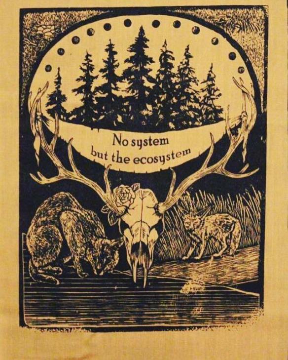 14516549_332981537048063_1526785607969530251_n